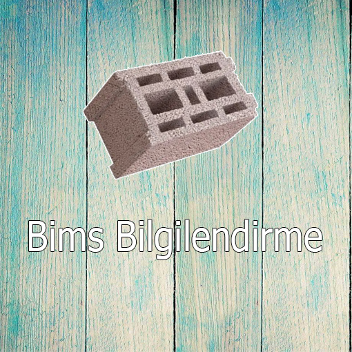 Bims (Ponza) Nedir?